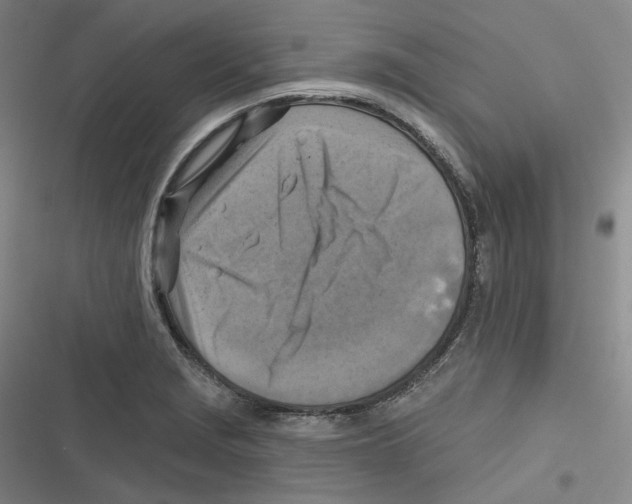 X0000116631229201001081246