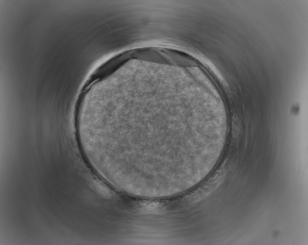 X0000116631230201001081246