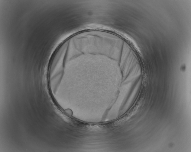 X0000116631231201001081246