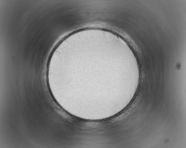 X0000116631232201001081246