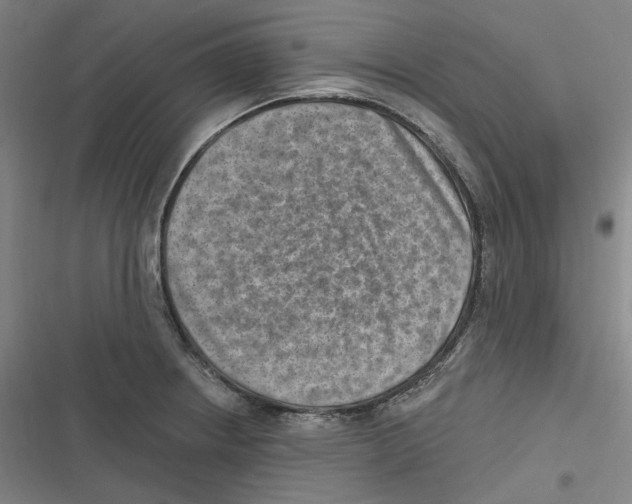 X0000116631234201001081246