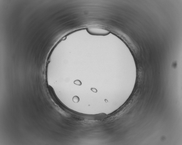 X0000116631236201001081246