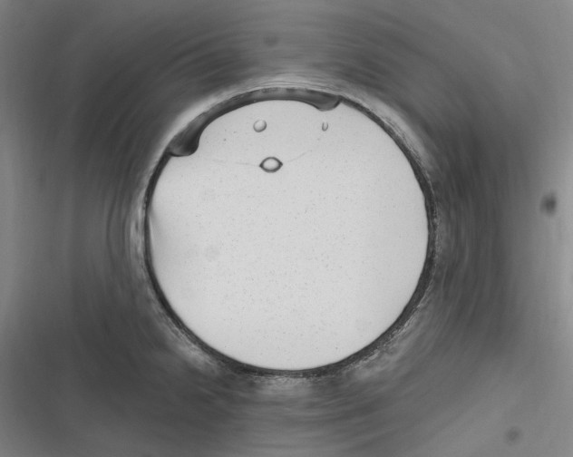 X0000116631238201001081246