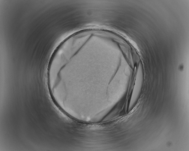 X0000116631239201001081246