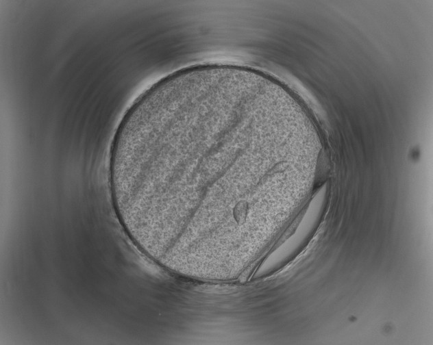 X0000116631240201001081246