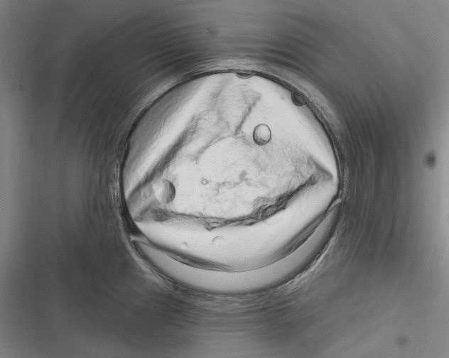 X0000116631241201001081246