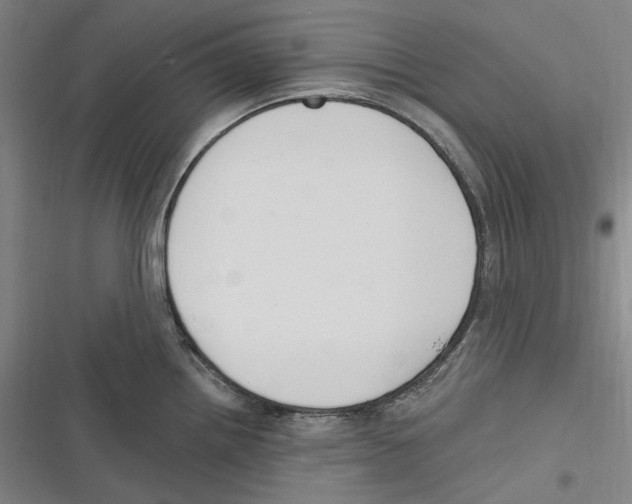X0000116631242201001081246