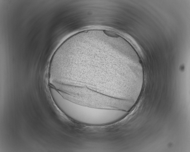 X0000116631244201001081246