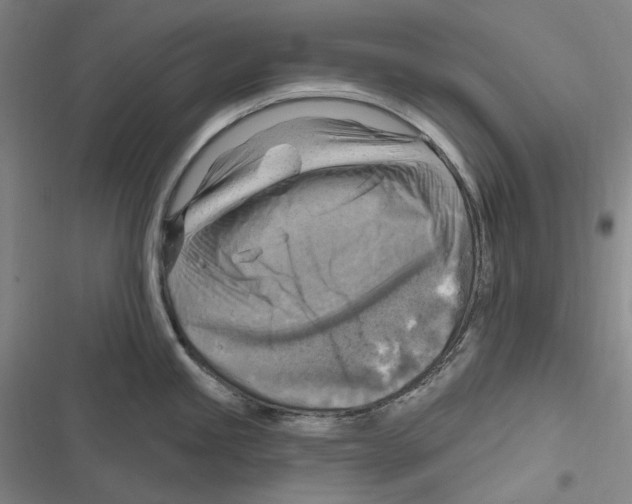 X0000116631245201001081246