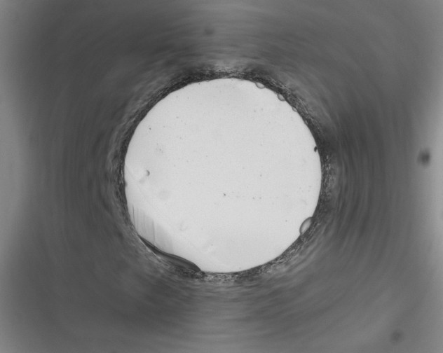 X0000116631249201001081245