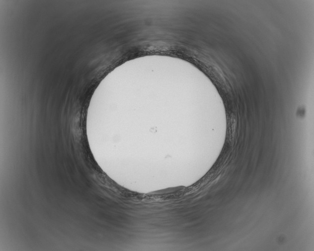 X0000116631250201001081245
