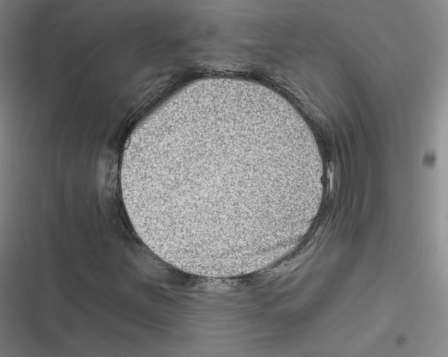 X0000116631251201001081245