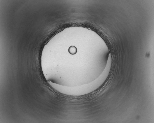 X0000116631252201001081245