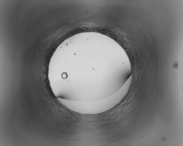 X0000116631253201001081245