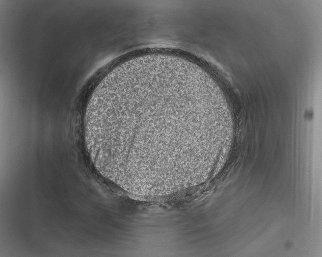 X0000116631255201001081245