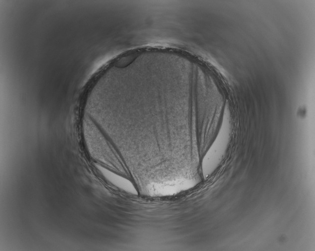 X0000116631256201001081245