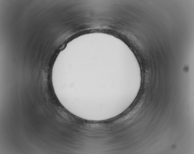 X0000116631257201001081245