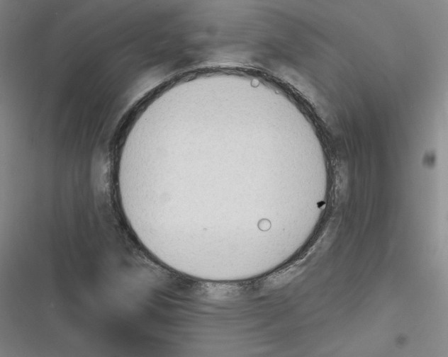 X0000116631258201001081245
