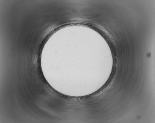 X0000116631259201001081245