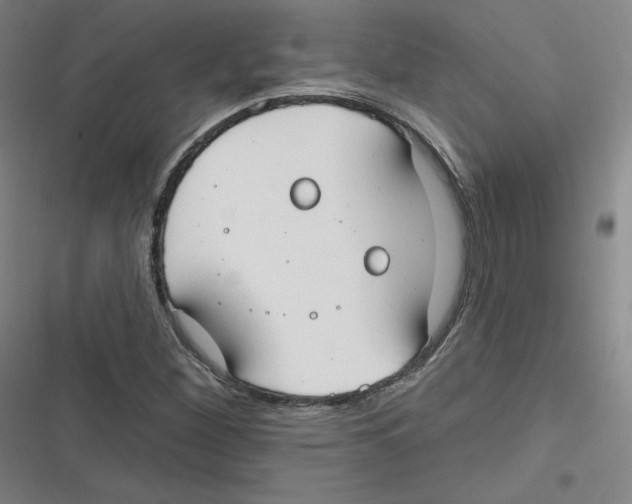 X0000116631260201001081245