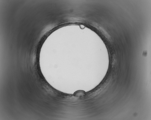 X0000116631261201001081245