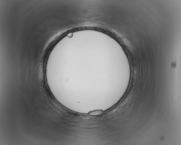 X0000116631262201001081245