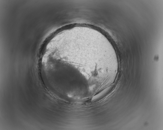 X0000116631263201001081245