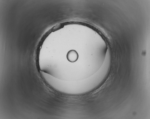 X0000116631264201001081245