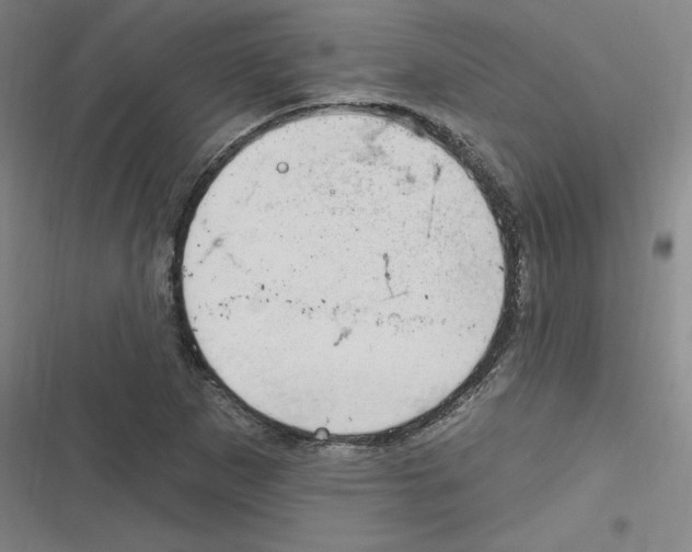 X0000116631265201001081245