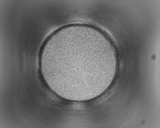X0000116631267201001081245