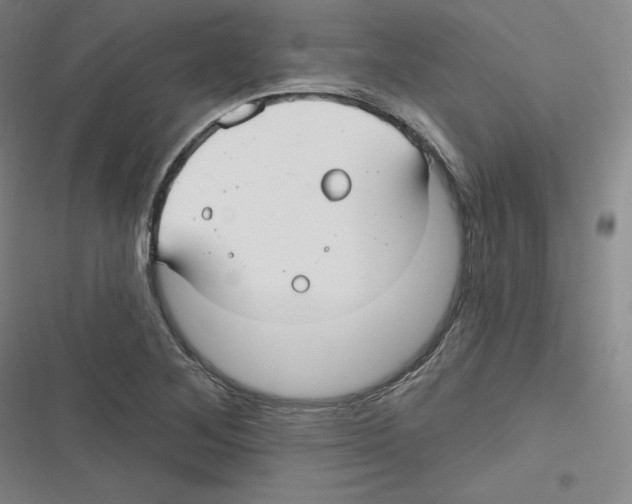 X0000116631268201001081245