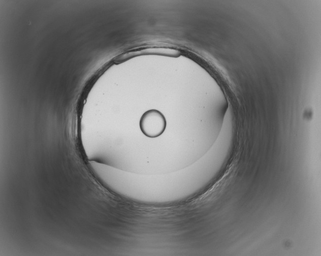 X0000116631269201001081245