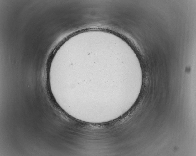 X0000116631270201001081245