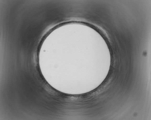 X0000116631271201001081245