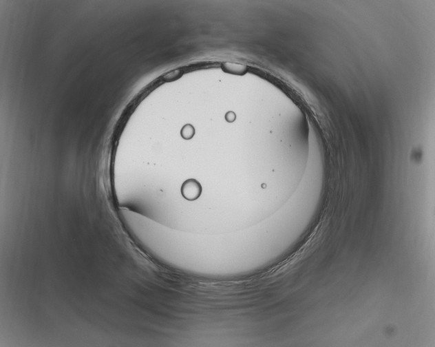X0000116631272201001081245