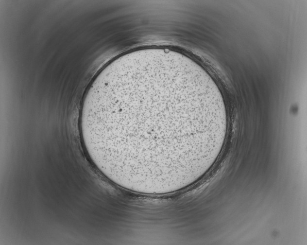 X0000116631273201001081245