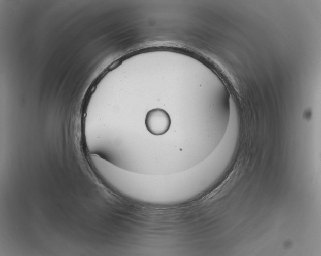 X0000116631274201001081245