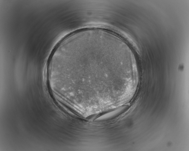 X0000116631275201001081245