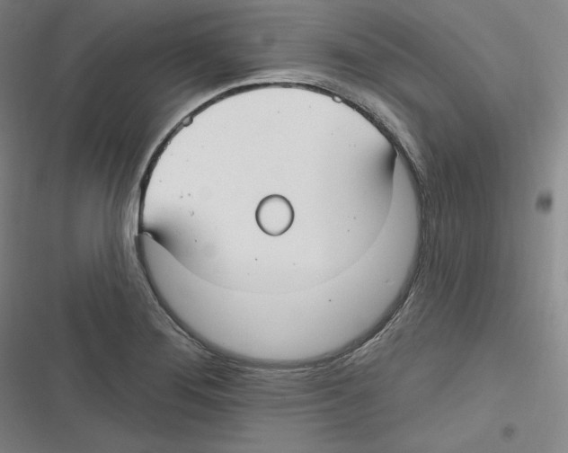 X0000116631276201001081245