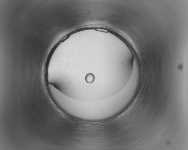 X0000116631277201001081245