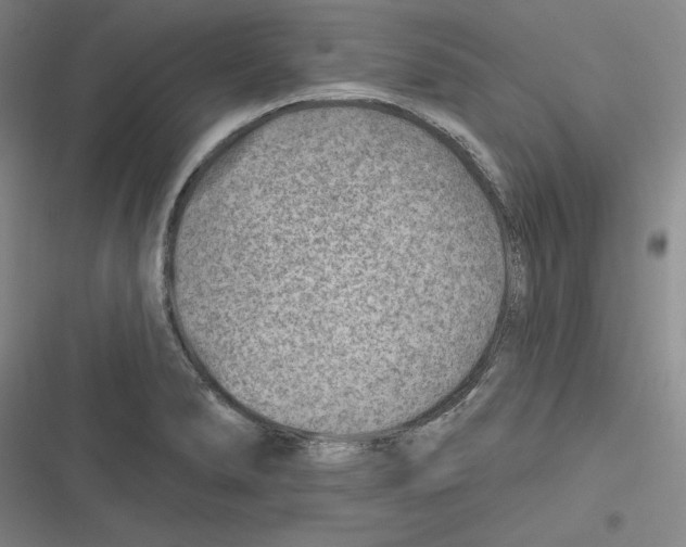 X0000116631278201001081245