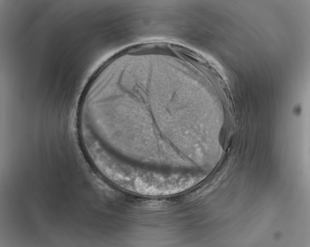 X0000116631279201001081245