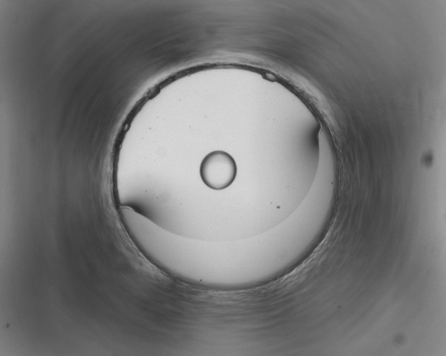 X0000116631280201001081245