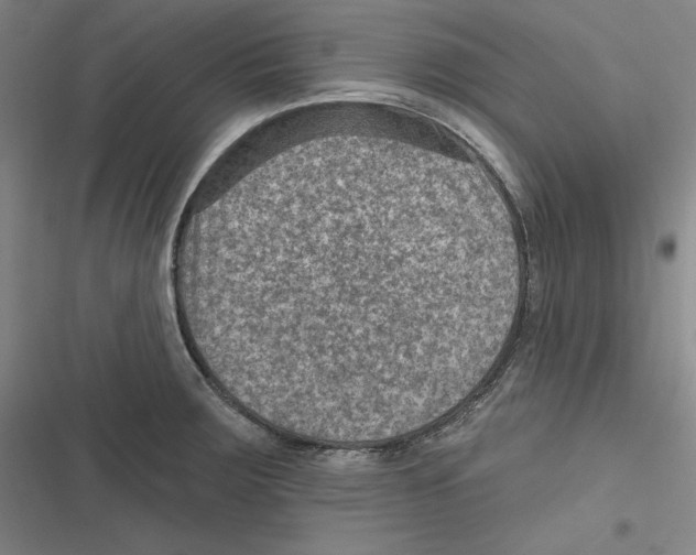 X0000116631283201001081245