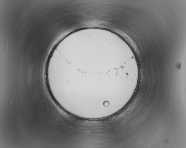 X0000116631285201001081245