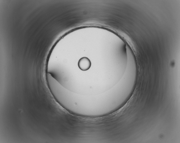 X0000116631288201001081245