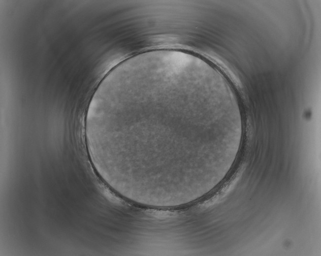 X0000116631289201001081245