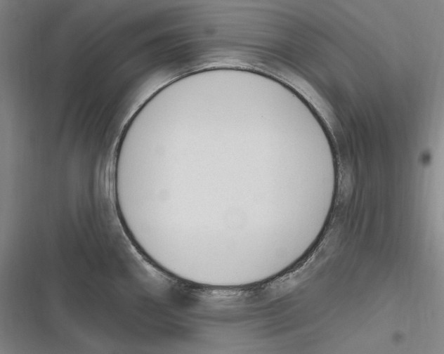 X0000116631290201001081245