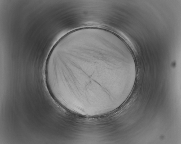 X0000116631291201001081245
