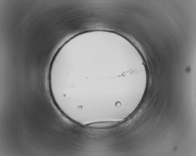 X0000116631293201001081245